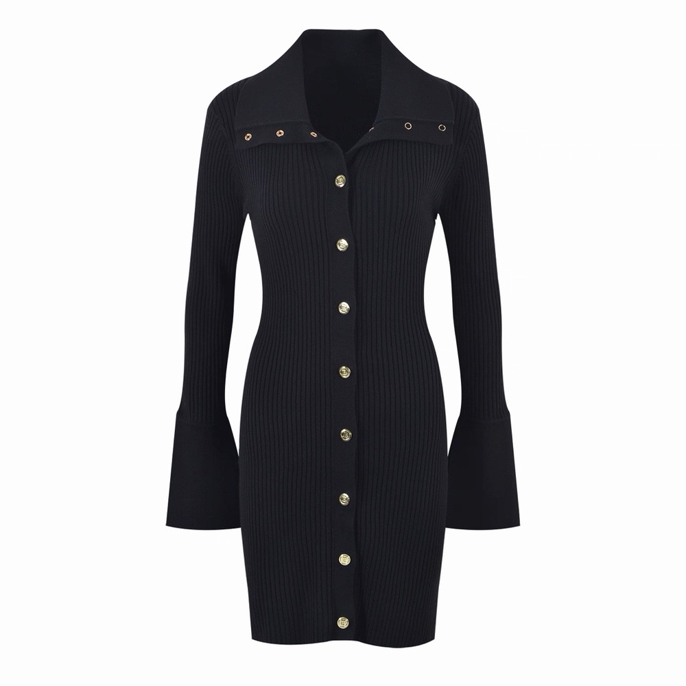 Balmain Chic Black Long Sleeve Button Dress